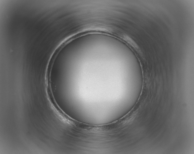 X0000075361028200609080833