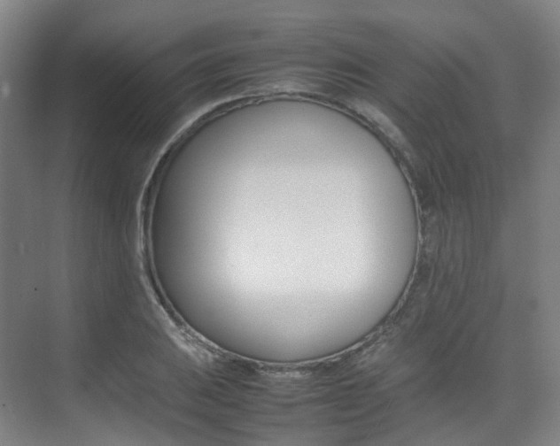 X0000075361031200609080833