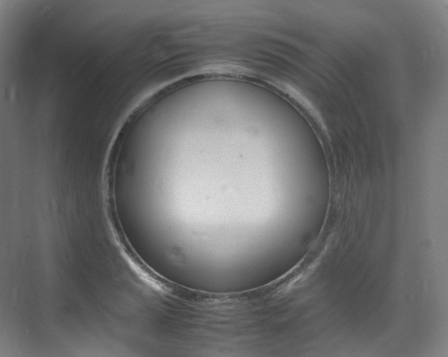 X0000075361037200609080833