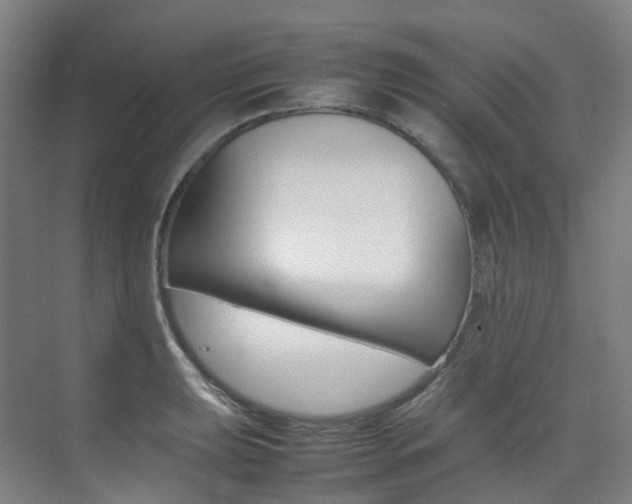 X0000075361039200609080833
