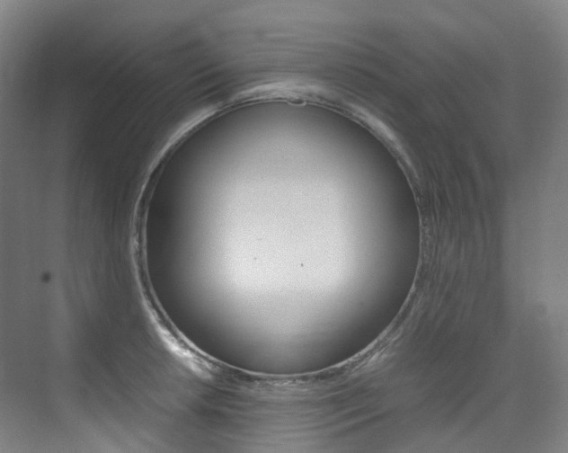 X0000075361042200609080833