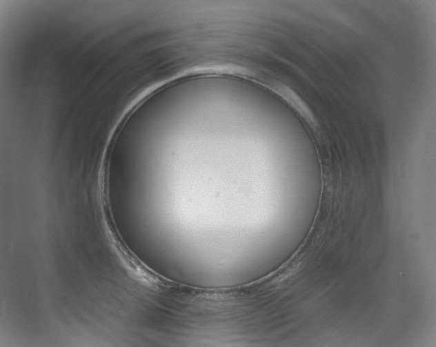 X0000075361044200609080833