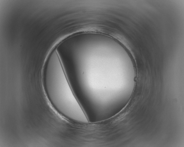 X0000075361045200609080833