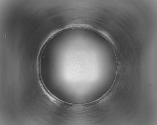 X0000075361046200609080833