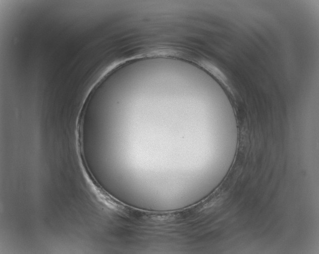 X0000075361047200609080833