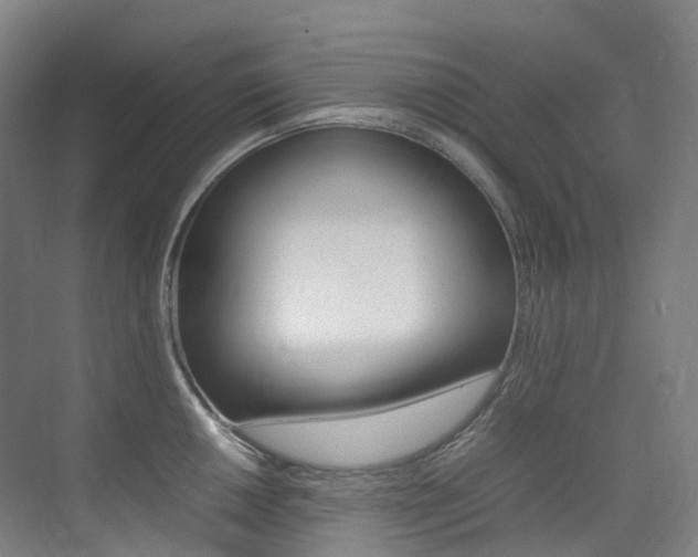 X0000075361050200609080833
