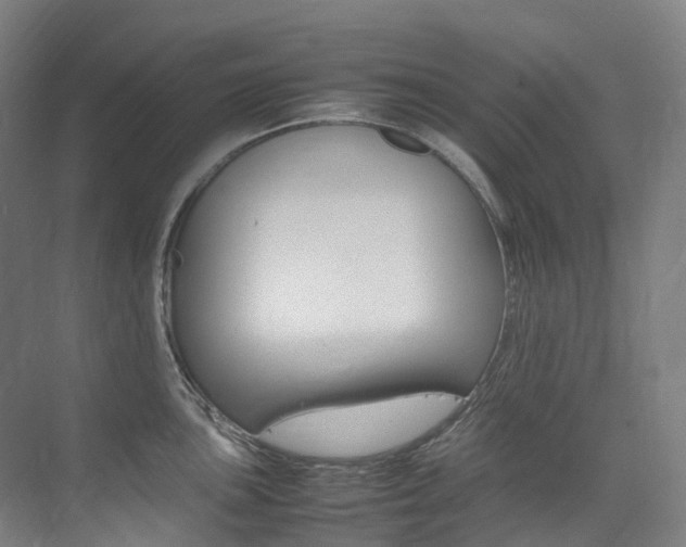 X0000075361051200609080833