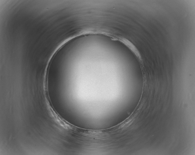X0000075361052200609080833