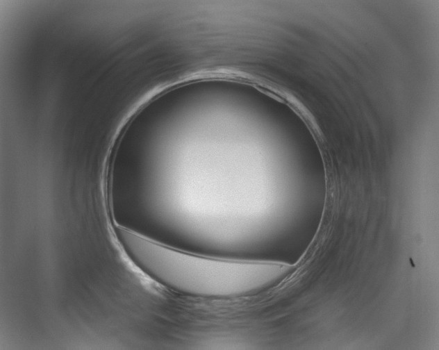 X0000075361054200609080833