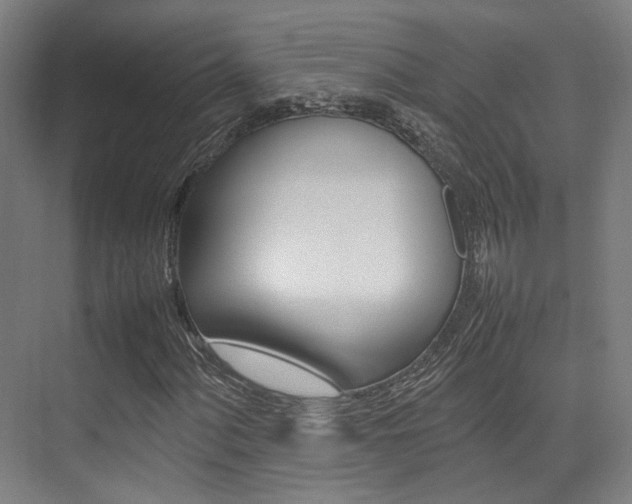 X0000075361060200609080833