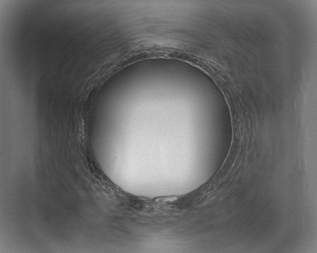 X0000075361061200609080833