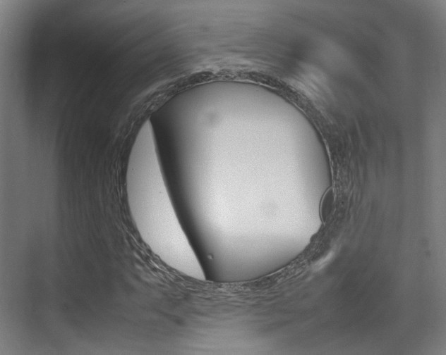 X0000075361063200609080833