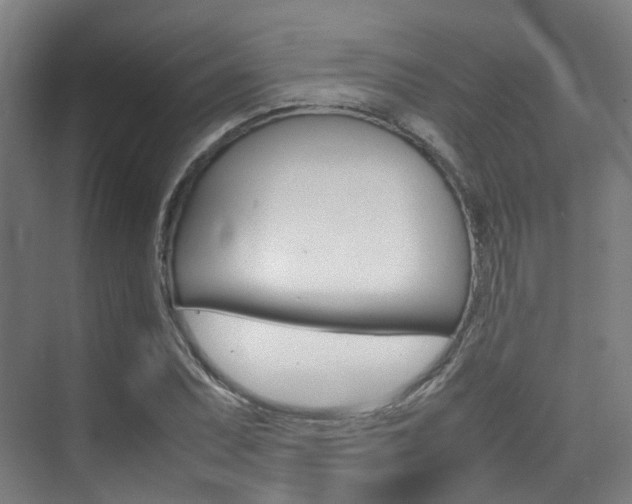 X0000075361071200609080832