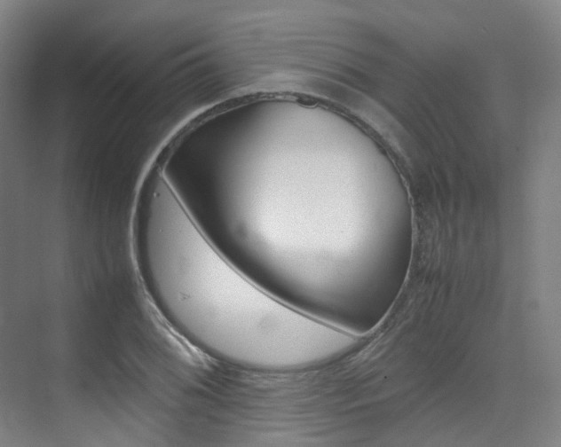 X0000075361076200609080832