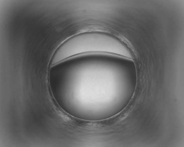 X0000075361081200609080832