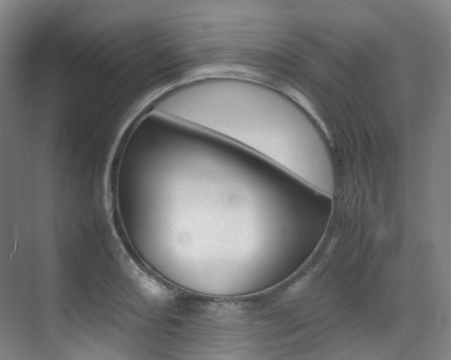 X0000075361082200609080832
