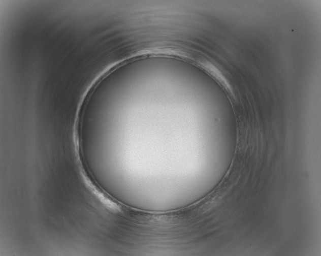 X0000075361084200609080832