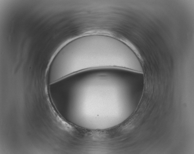 X0000075361102200609080832