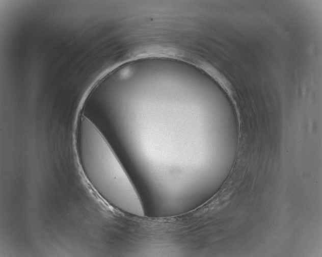 X0000075361104200609080832