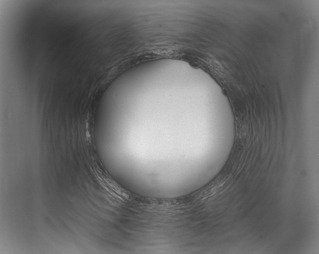 X0000075361106200609080831