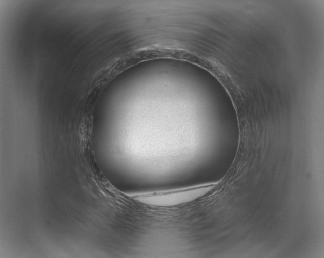 X0000075361110200609080831