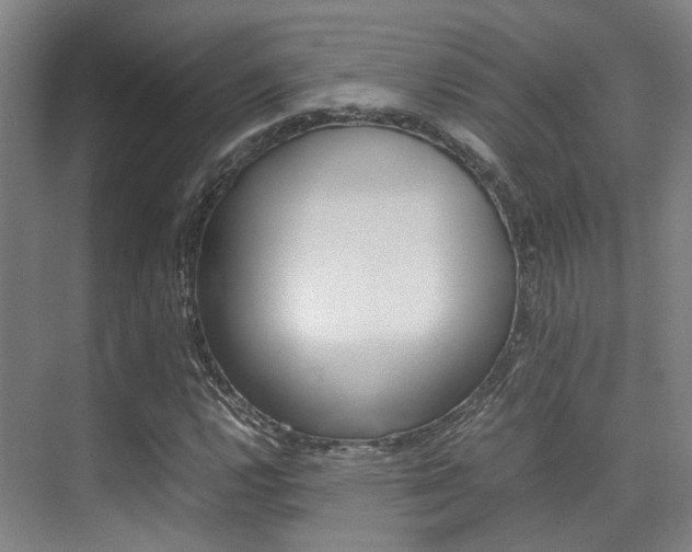 X0000075361112200609080831