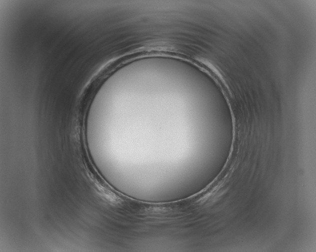 X0000075361115200609080831