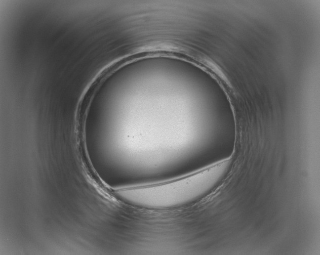 X0000075361116200609080831