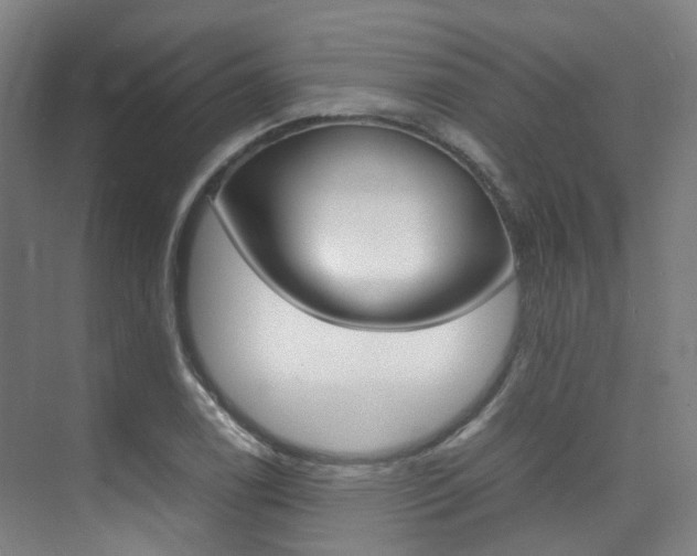 X0000075361122200609080831