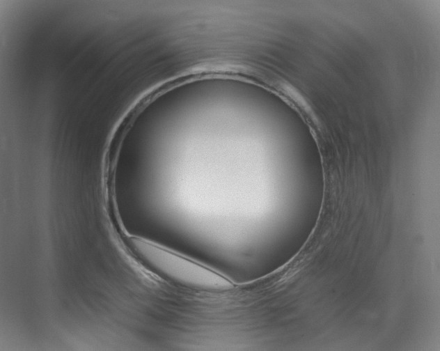 X0000075361124200609080831