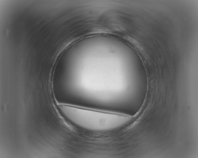 X0000075361129200609080831