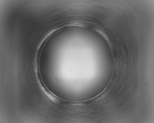 X0000075361131200609080832