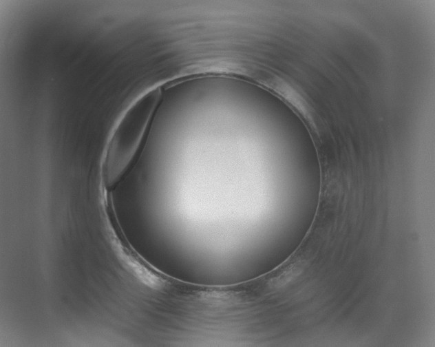 X0000075361132200609080832