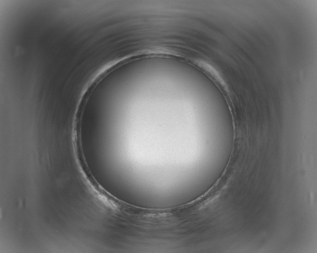 X0000075361133200609080832