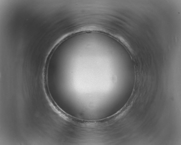 X0000075361134200609080832