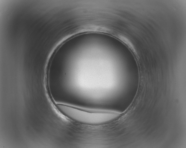 X0000075361136200609080832