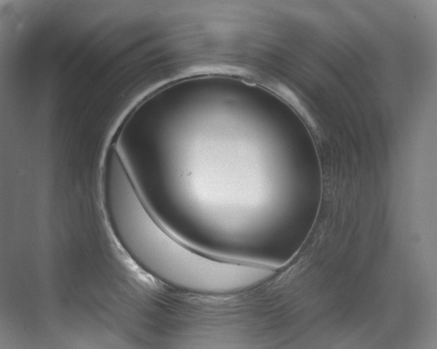 X0000075361140200609080832