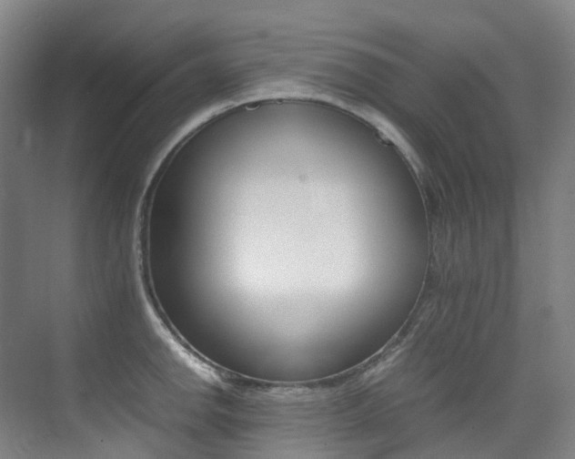 X0000075361142200609080832