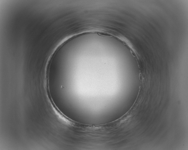 X0000075361143200609080832