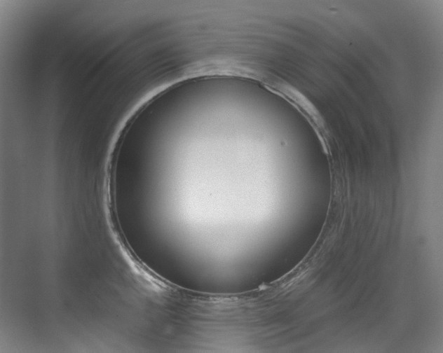 X0000075361144200609080832