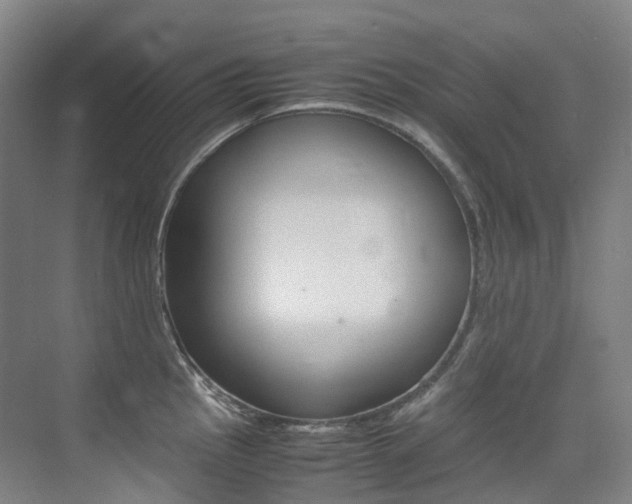 X0000075361145200609080832