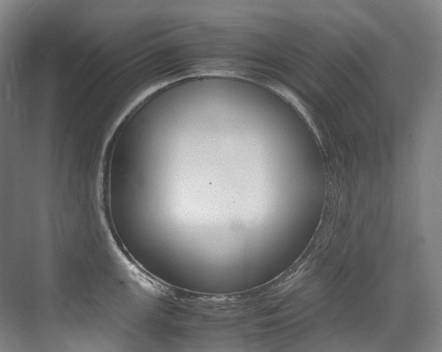 X0000075361147200609080832