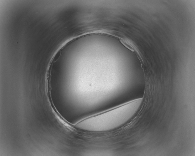 X0000075361151200609080832