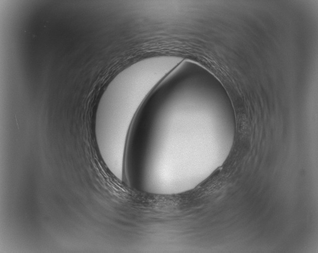 X0000075361153200609080831