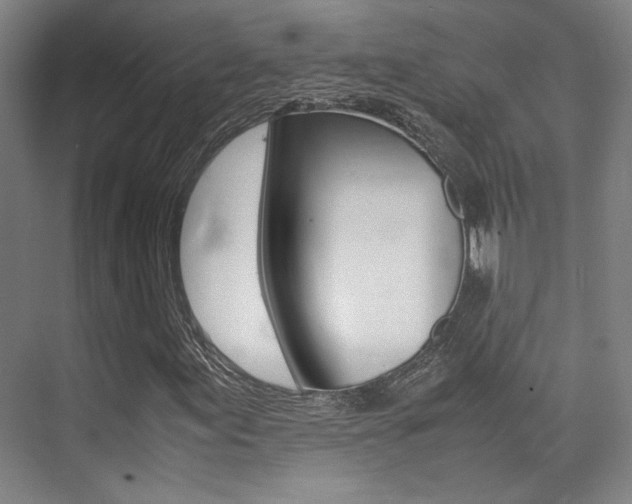 X0000075361155200609080831