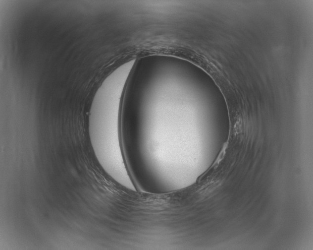 X0000075361156200609080831