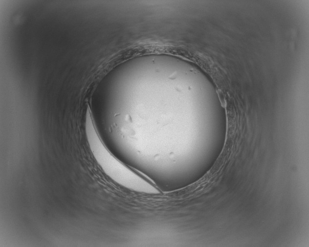X0000075361157200609080831