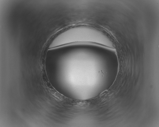 X0000075361160200609080831