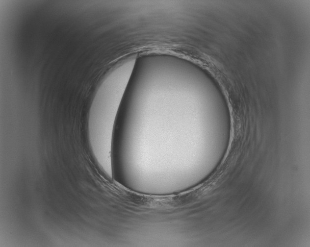 X0000075361161200609080831