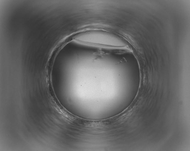 X0000075361164200609080831
